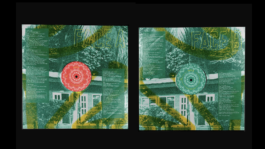 Record cover artwork inside sleeve