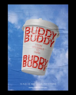 BUDDY BUDDY Paris opening Soon Poster Coup in the sky